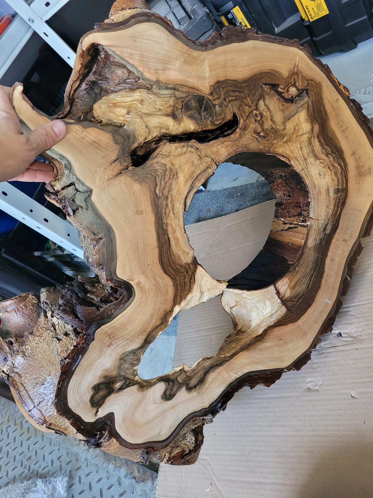 Burl wood preparation