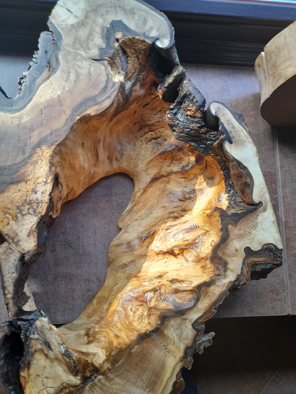 Golden burl wood slab